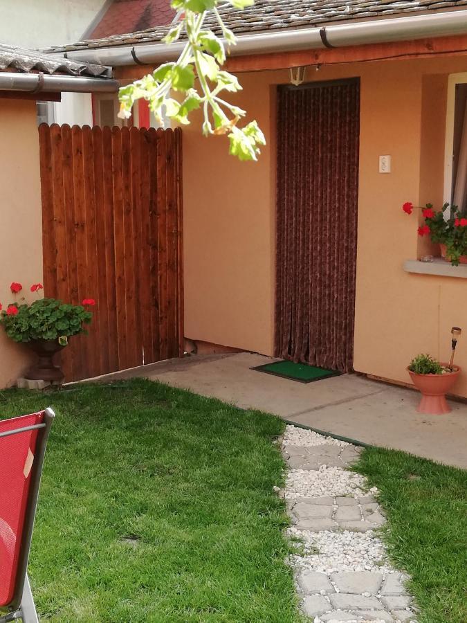 Csilla Apartman Makó المظهر الخارجي الصورة