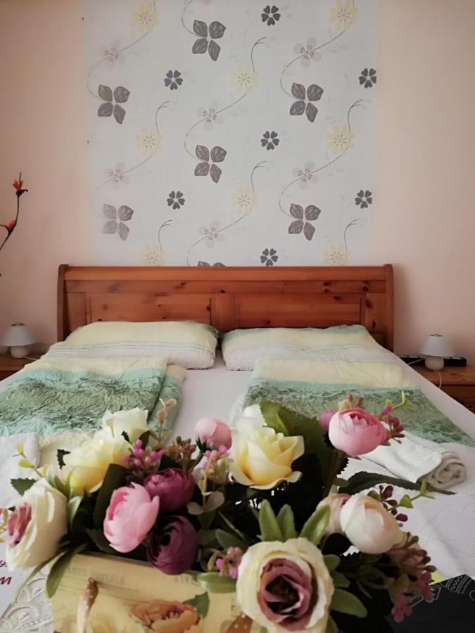Csilla Apartman Makó المظهر الخارجي الصورة