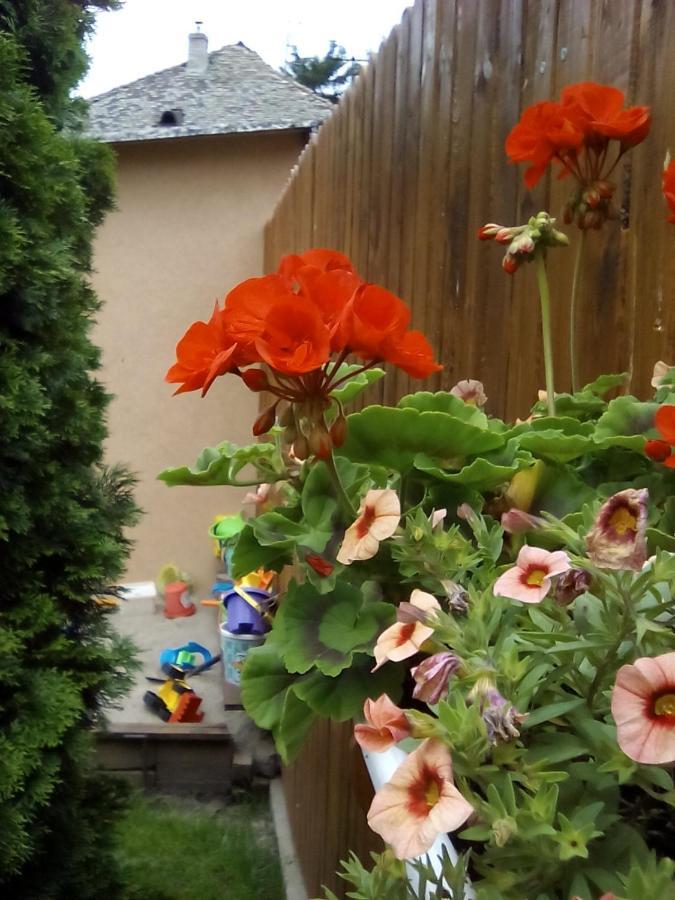 Csilla Apartman Makó المظهر الخارجي الصورة